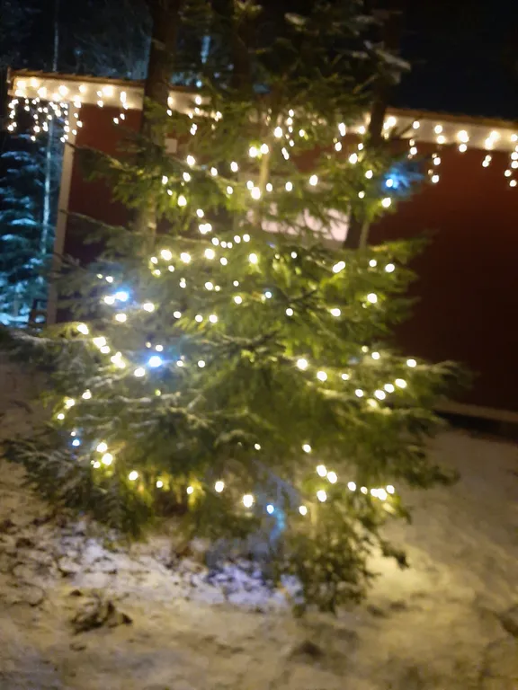 Коттедж Уютный гостевой домик в пригороде Петрозаводска — Чална