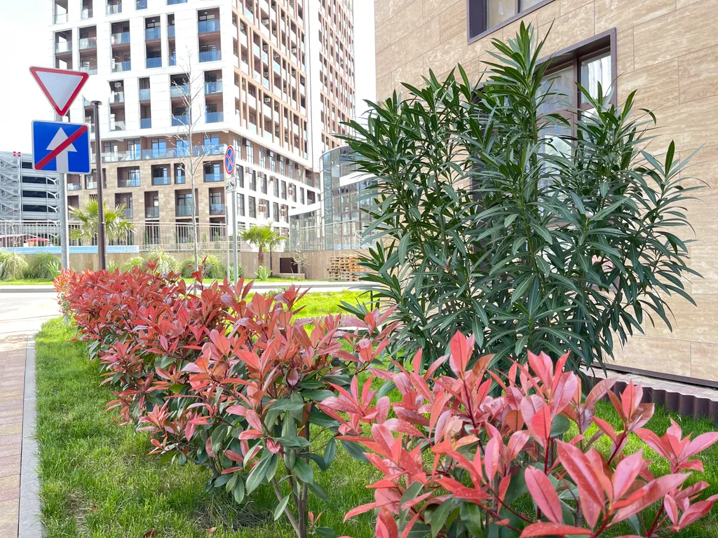 Дизайнерская евротрёхкомнатная квартира в жк аллея парк