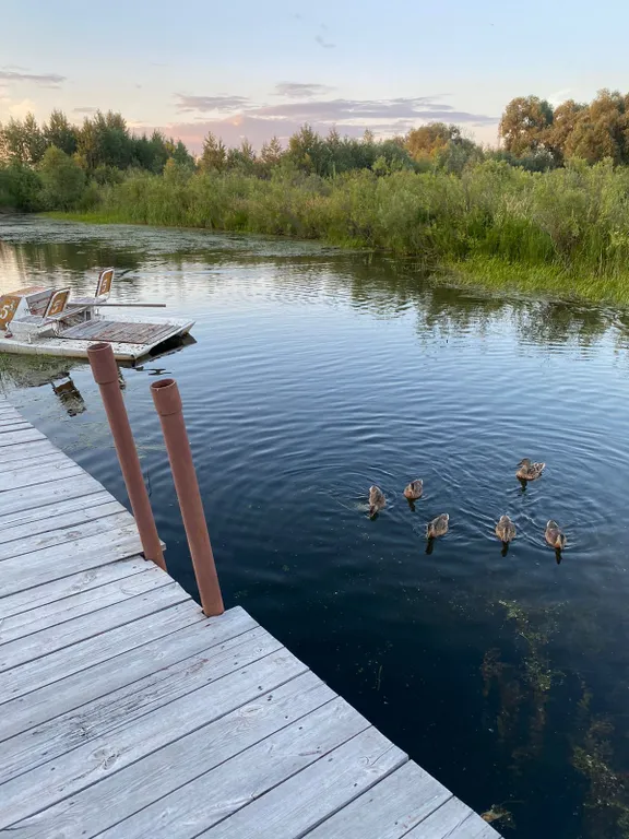 Гостевой дом с видом на реку