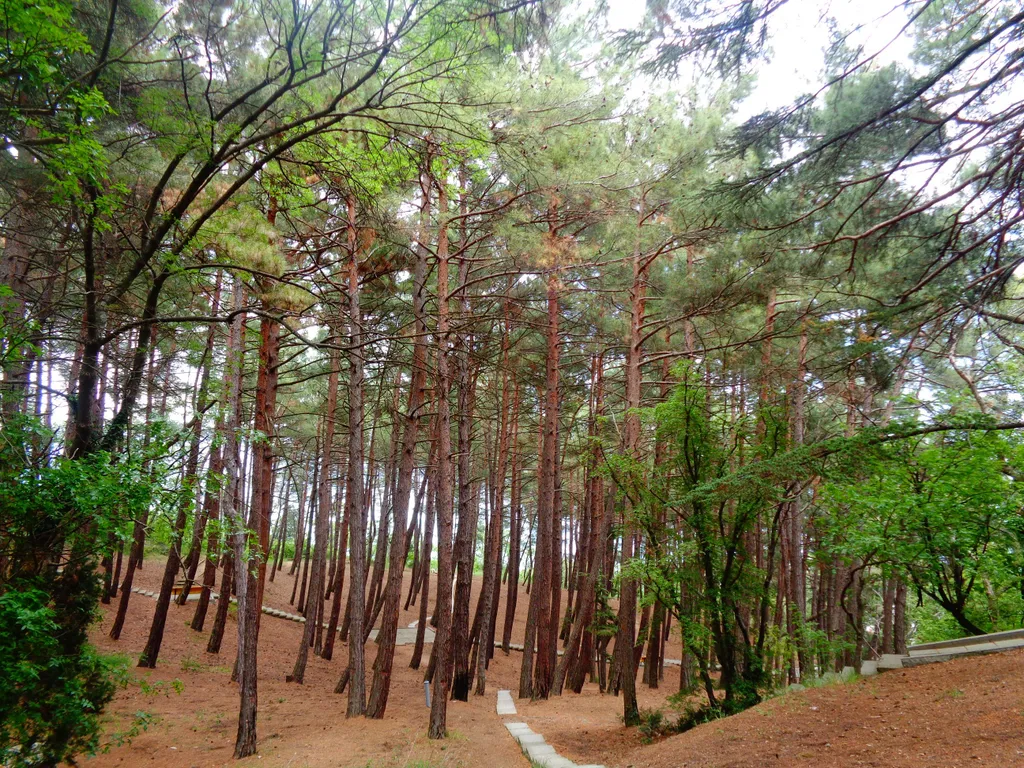 Квартира 2-комнатная