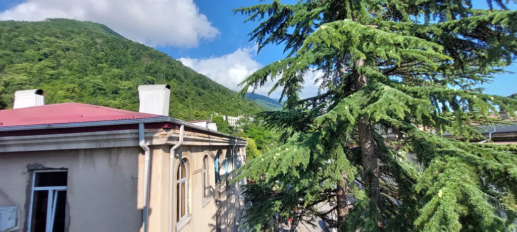 Трёхместный номер с балконом и видом на море