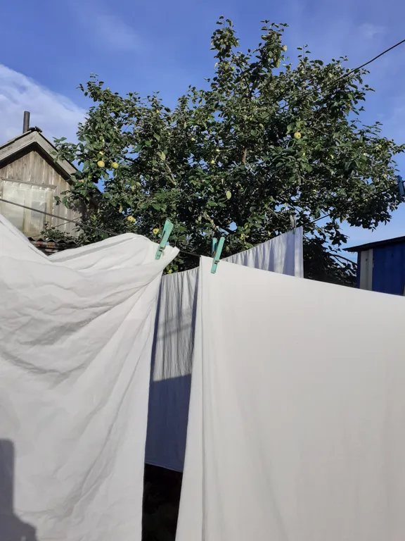 Квартира Уютная квартира рядом с парком и удобным заездом — Лодейное Поле