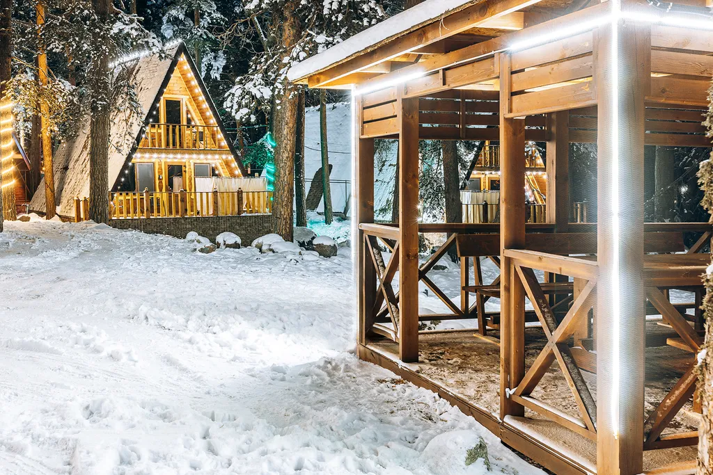 Коттедж с бассейном в лесу