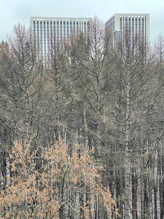 Уютная квартира с видом на парк