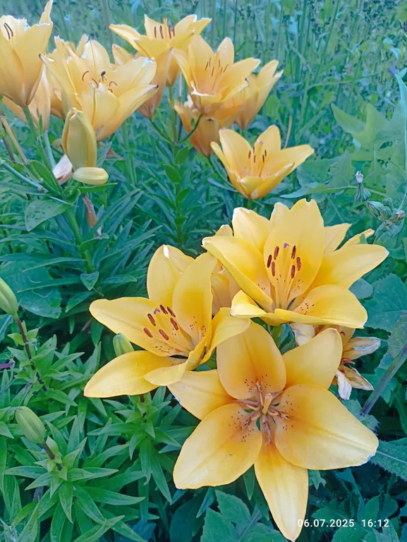 Просторный и уютный дом