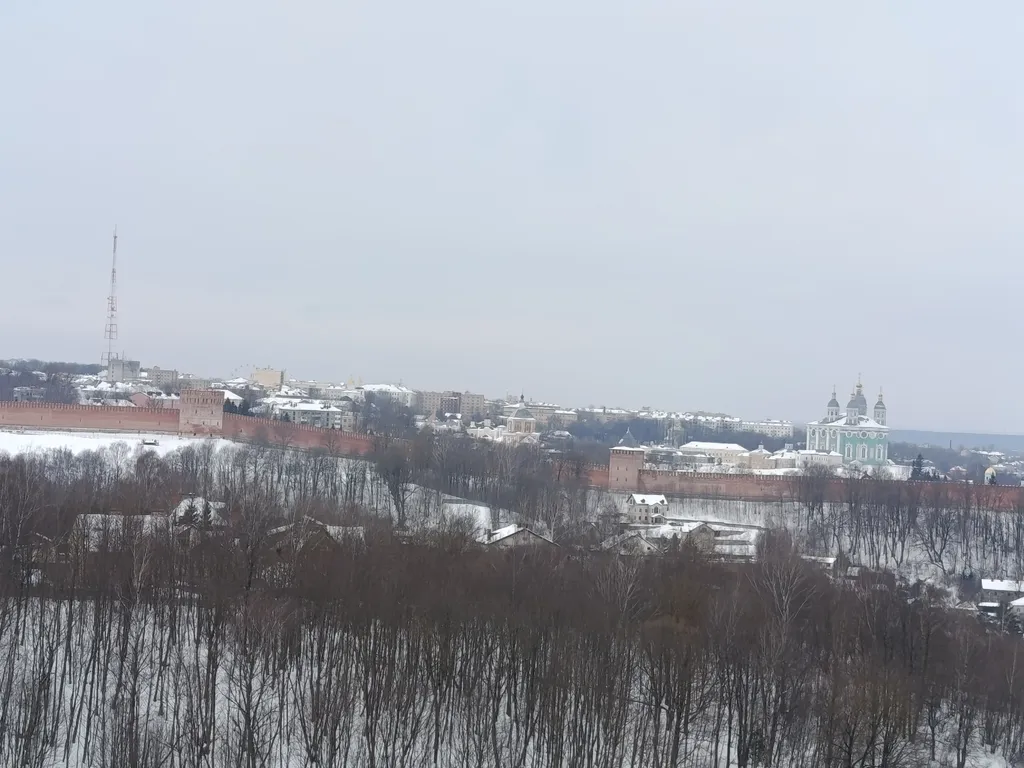 Уютная квартира с видом на Успенский собор и Крепостную Стену.