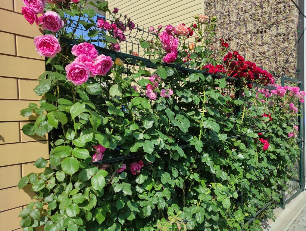 Комната SuperComfort до 4-ёх человек, в домовладении!