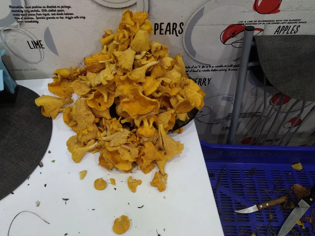 Дом у реки Сума