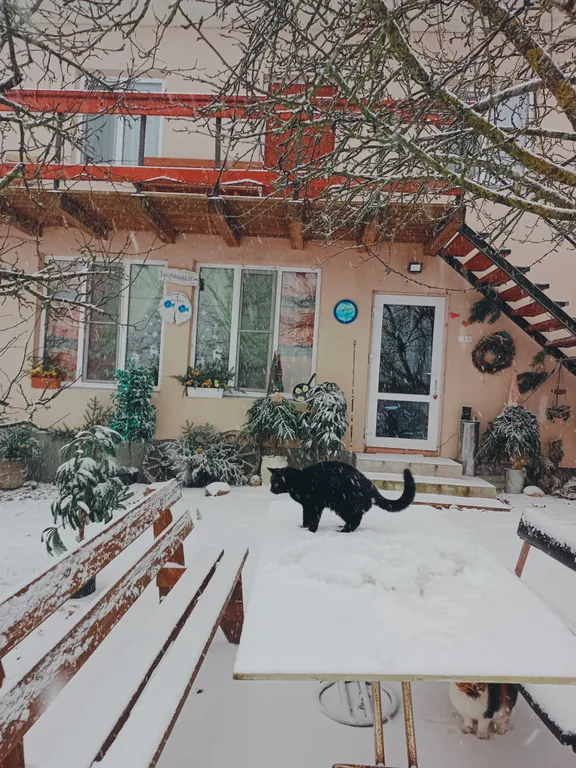 Усадьба на берегу реки