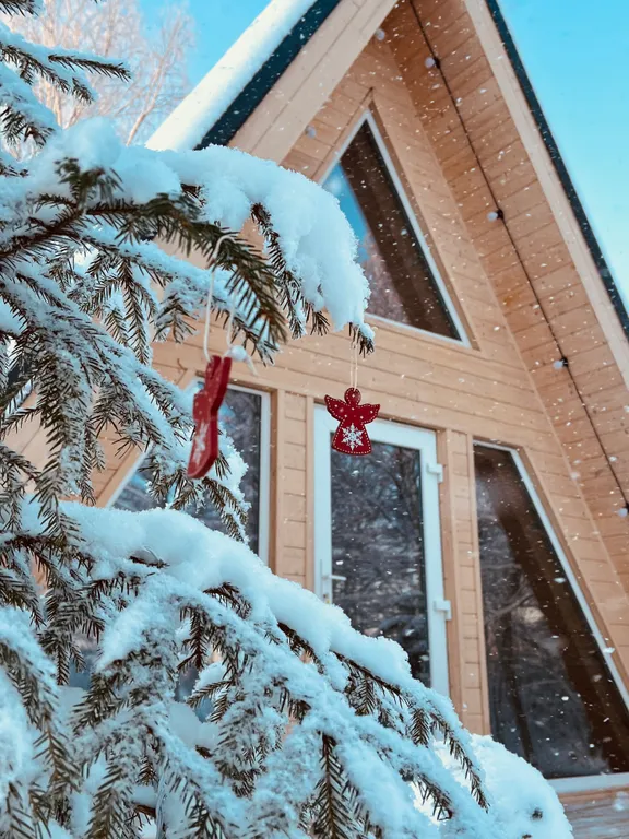 Гостевой дом в стиле А-фрейм Suvi в Карелии