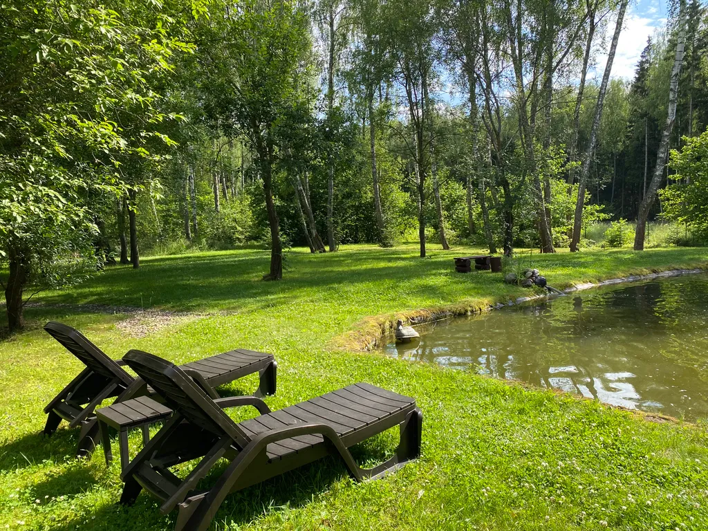 Уютный домик в лесу у пруда