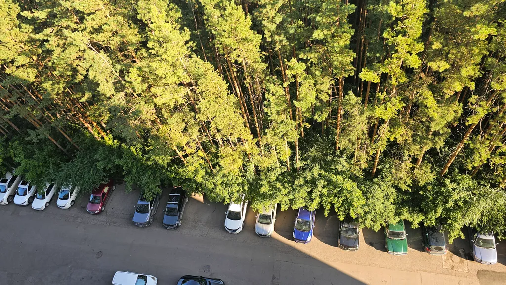 1к люкс в сосновом бору