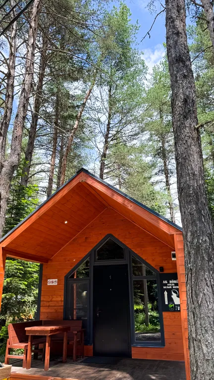 Коттедж 1-комнатный Дом — Архыз