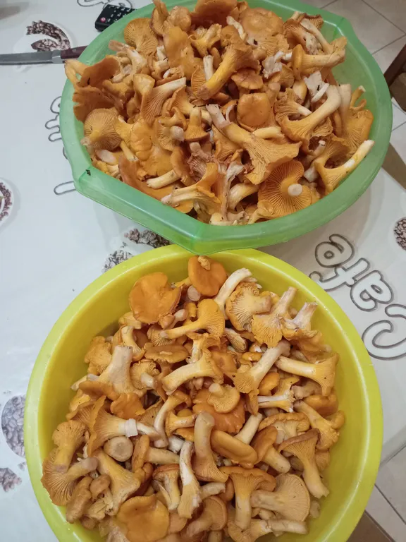 Домик с русской печкой и со всеми удобствами