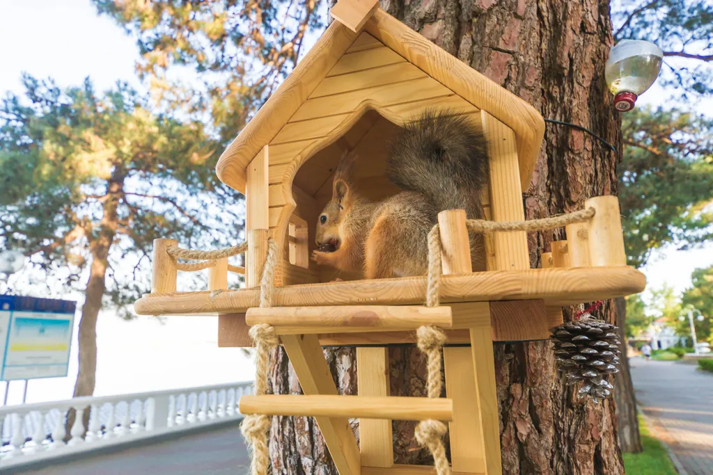 Апартамент с видом на море в ЖК Панорама 21