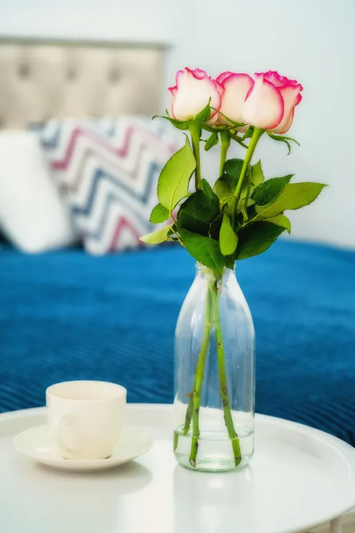 Квартира Квартира Стильная студия в элитном районе — Геленджик