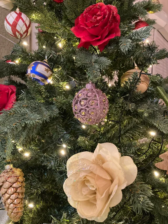 Квартира Квартира Наша дача — Светлогорск