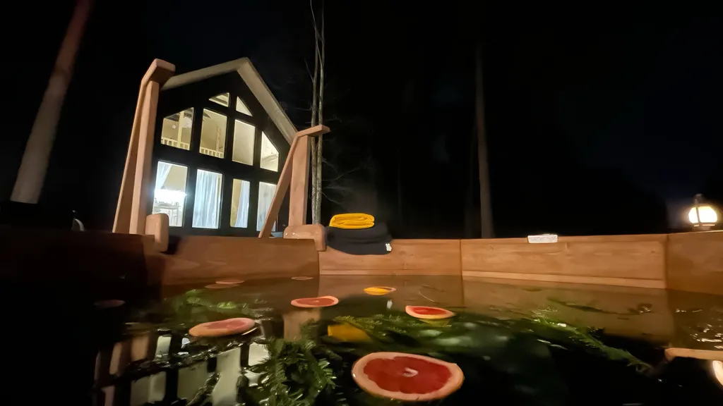 Коттедж Дом с панорамными окнами в сосновом лесу с банным чаном и проектором — Первая Алексеевка