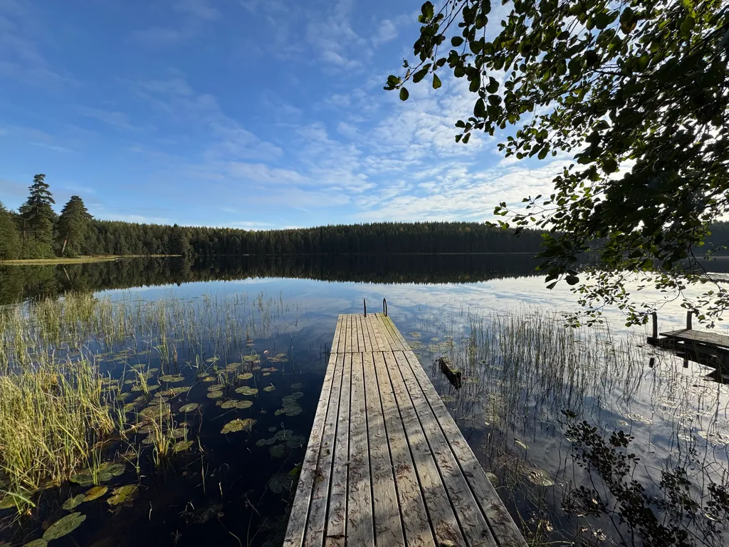 Ретро-дача с баней на берегу лесного озера
