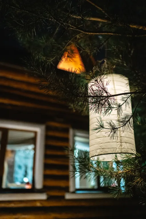 Коттедж Домик с бассейном и баней в 20 минутах от Москвы — Падиково