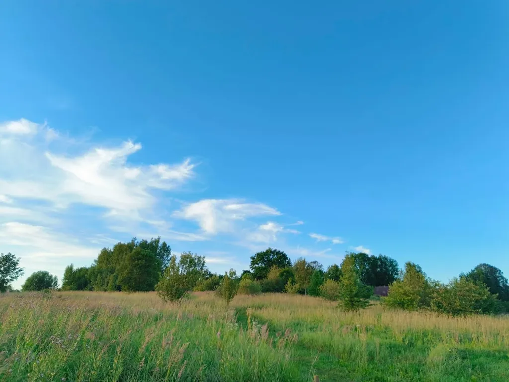 Дом в тихой деревне у озера