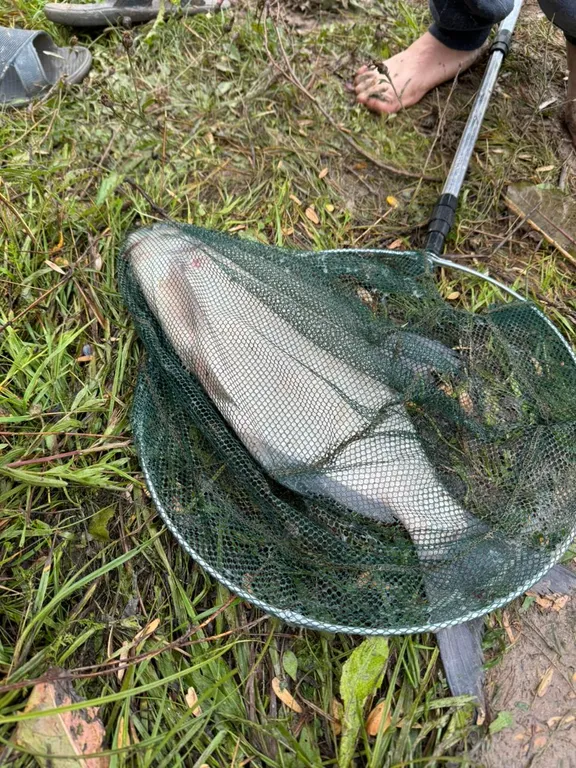 Дом с сауной  в Капитан Клаб