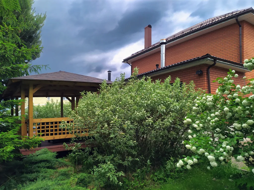 Романтика среди сосен!