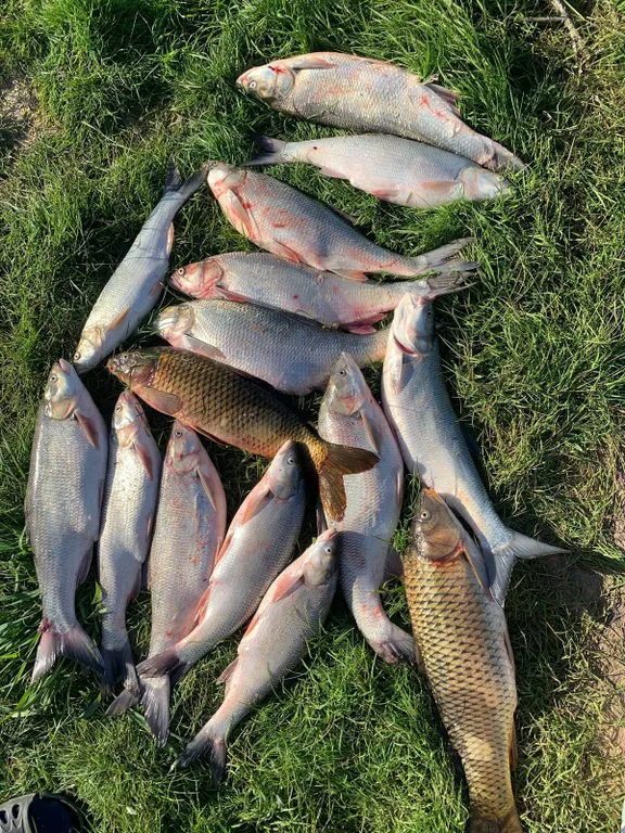 Домик у реки