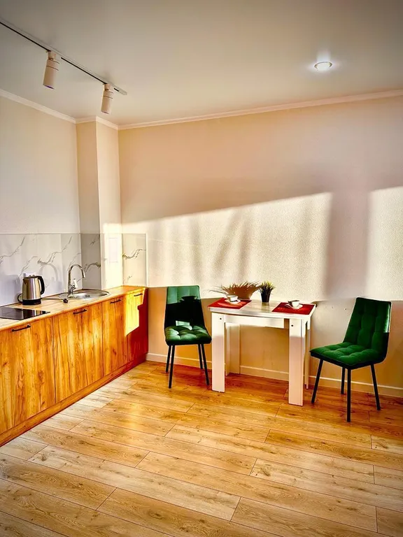 Квартира с проектором в ЖК Арман-2