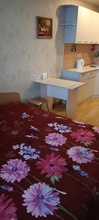 Новая квартира-студия — аренда посуточно в Киров