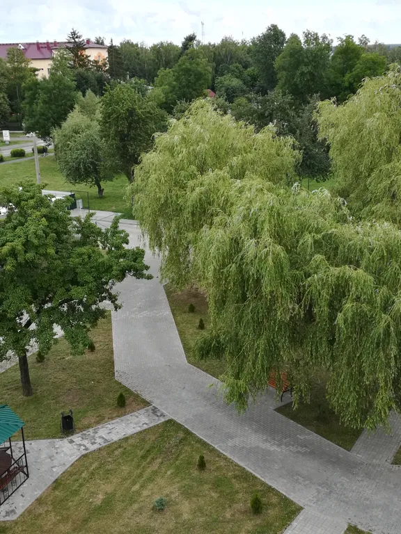 Квартира с видом на санаторий Ленина и рядом с городским пляжем