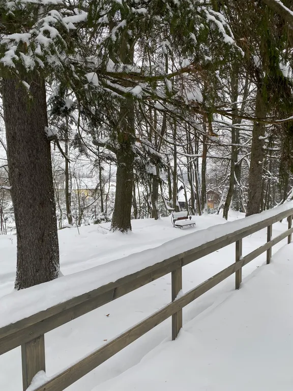 Коттедж Домик Хирви уютный коттедж на отдельном участке с вековыми деревьями — Москва