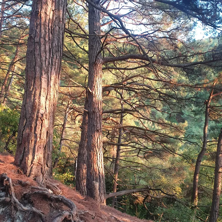 Жильё на побережье
