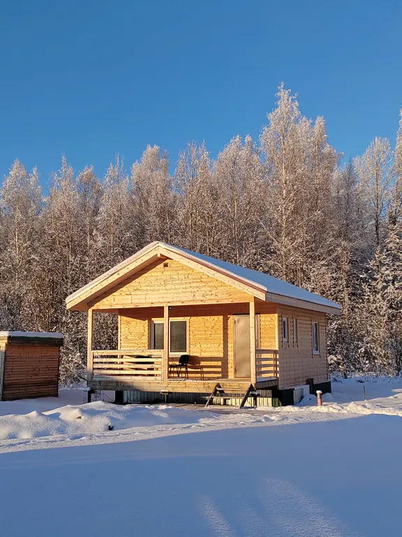 Коттедж Дом с видом на лес база Карловка — Чудово