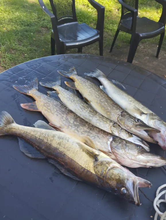 Коттедж Коттедж с баней, чаном и детской площадкой с батутом у озера, в бору — Ланино