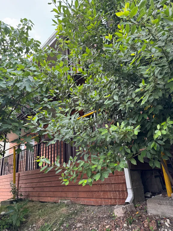 4-комнатный Дом