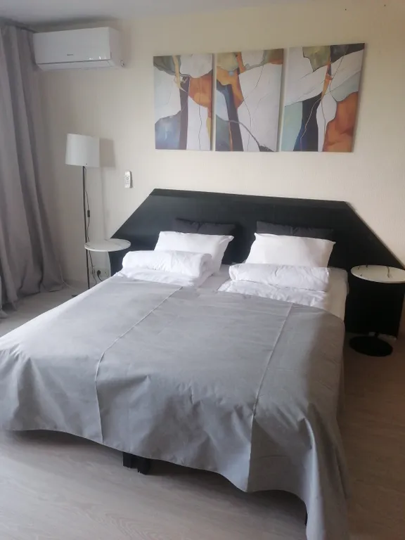 Просторная квартира в старом городе