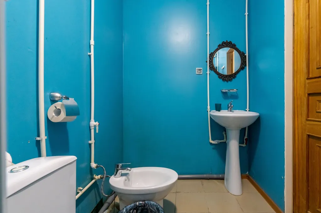 Коттедж 1-комнатный Дом — Луга