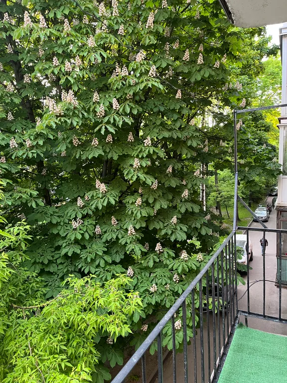 Уютная квартира в спокойном центре города