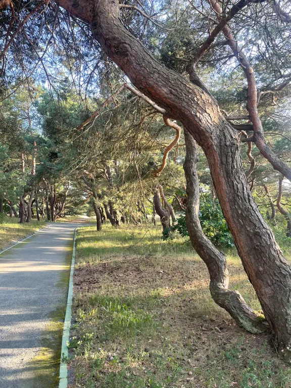 Квартира с пандой