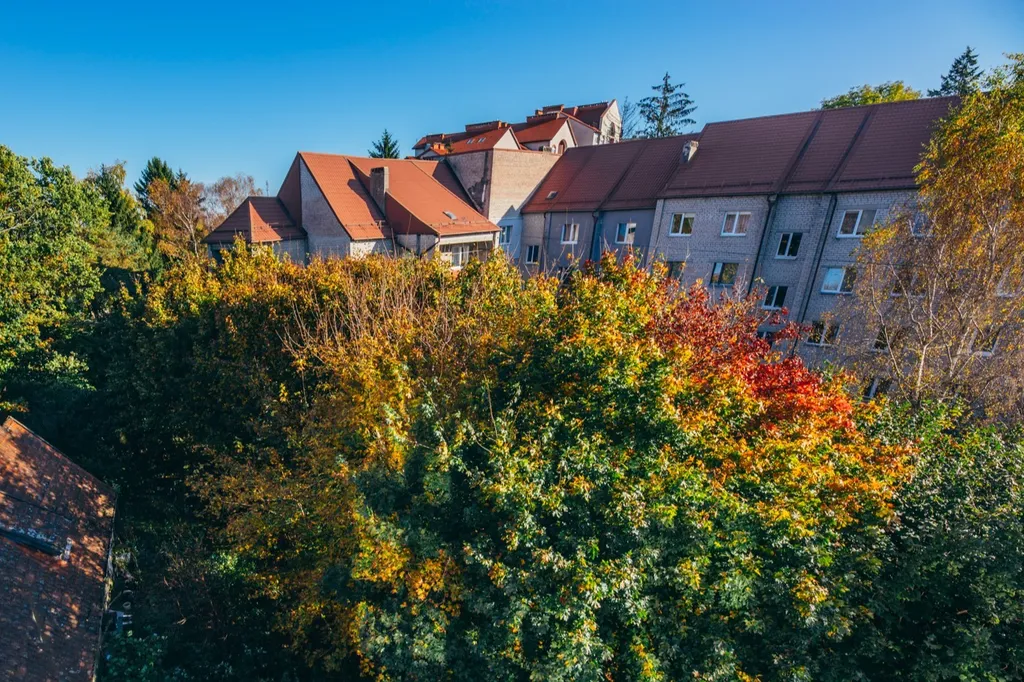 Квартира для большой семьи