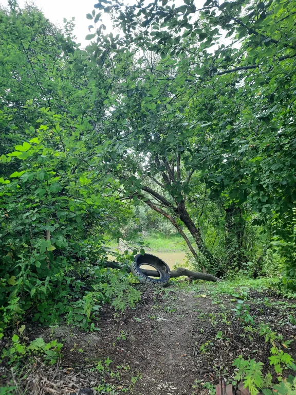 Уютный домик рядом с озером в природном тихом месте