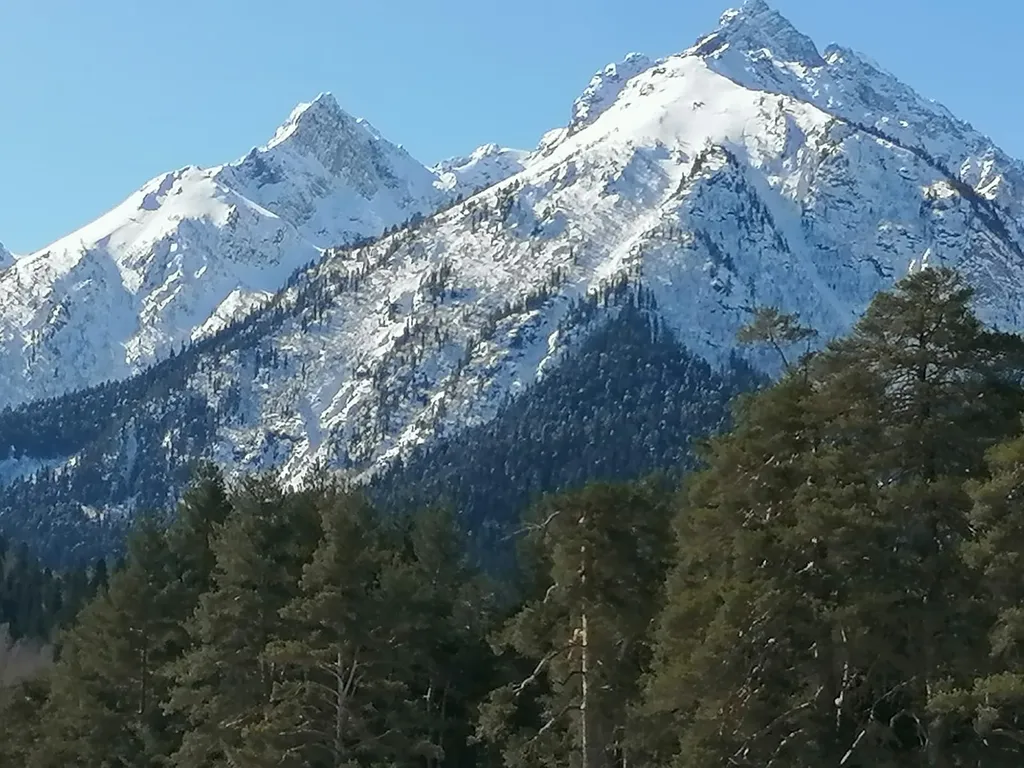 Коттедж Коттедж Лес хрустальной песни — Архыз