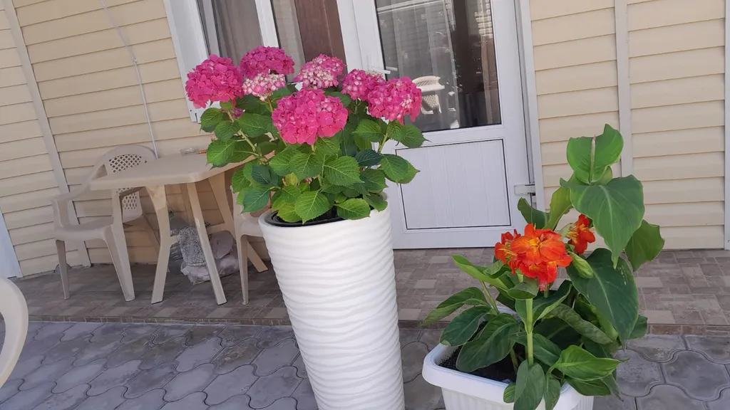 Двухкомнатный четырёхместный номер комфорт