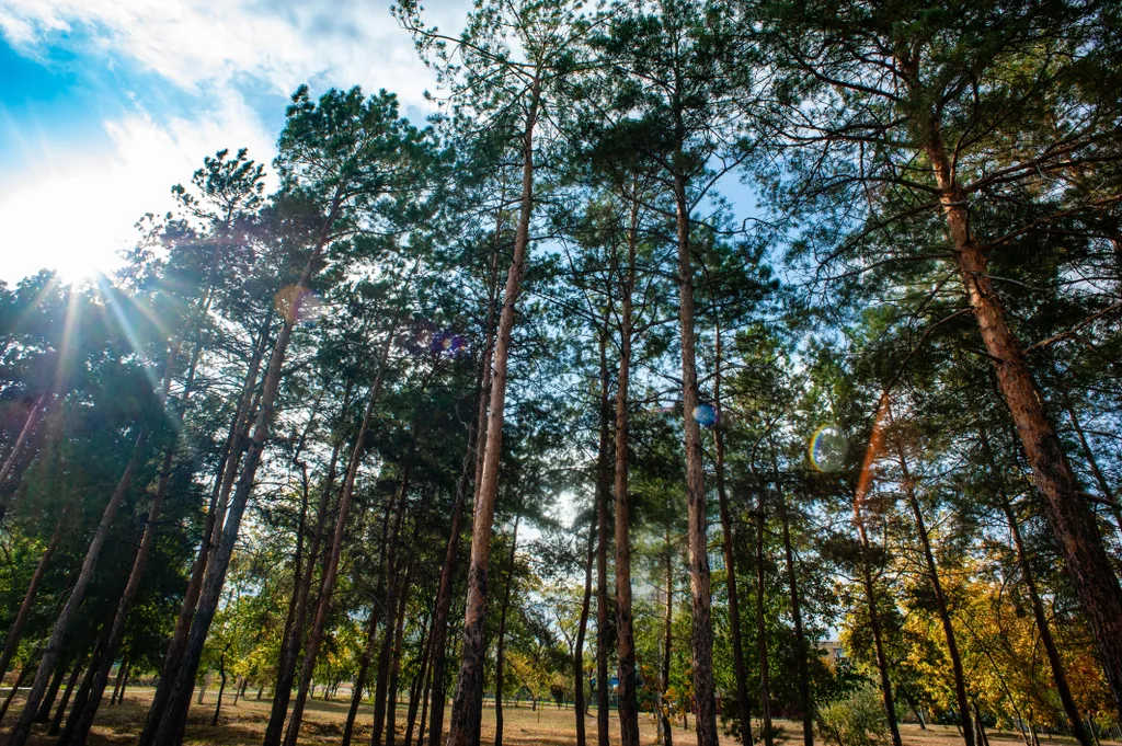 Артхаус студия с видом на Мамаев Курган