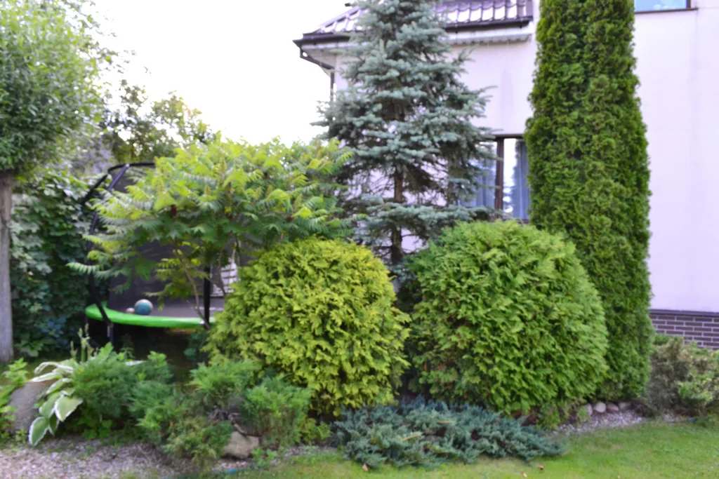 Эко дом у озера + баня удобно размещается 14 человек