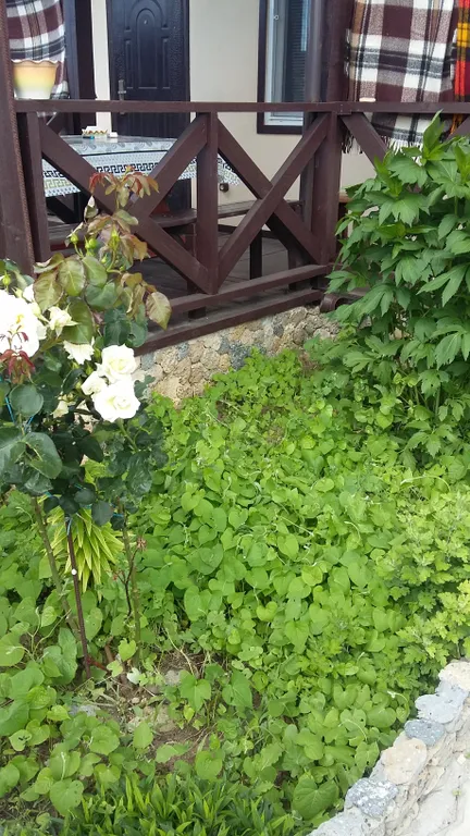 Коттедж 2-комнатный Дом — Витино