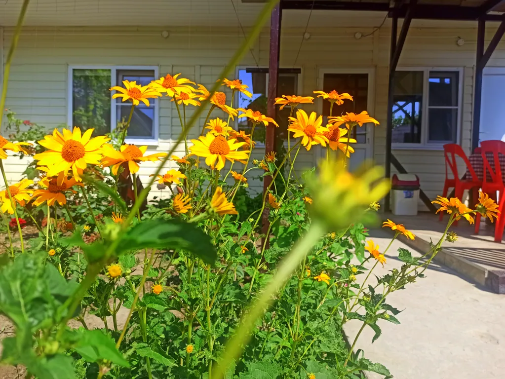 Коттедж Уютный домик в центре города недалеко от моря — Анапа