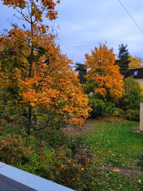 Уютная квартира рядом с озером Разлив