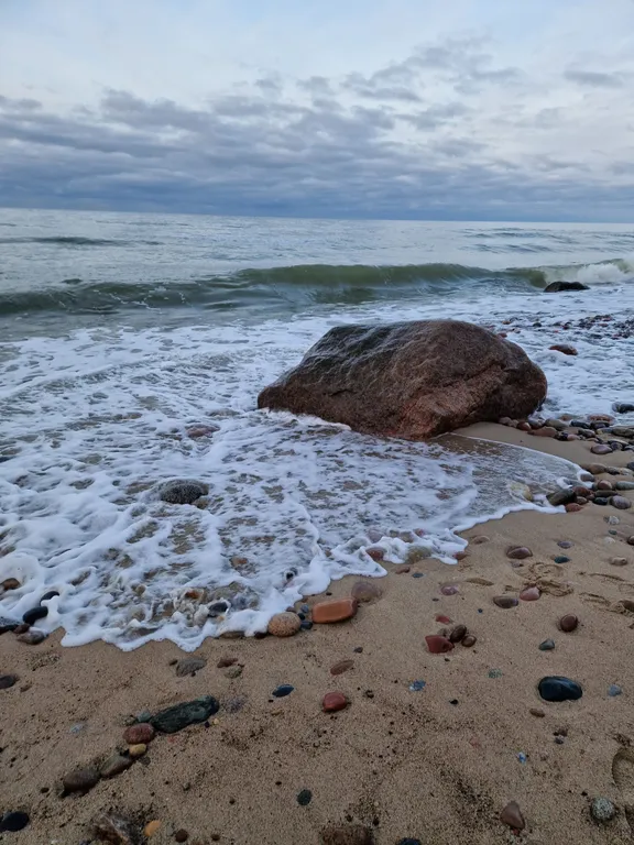 В гостях у моря